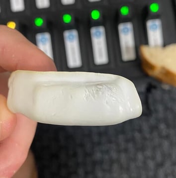 chewing damage